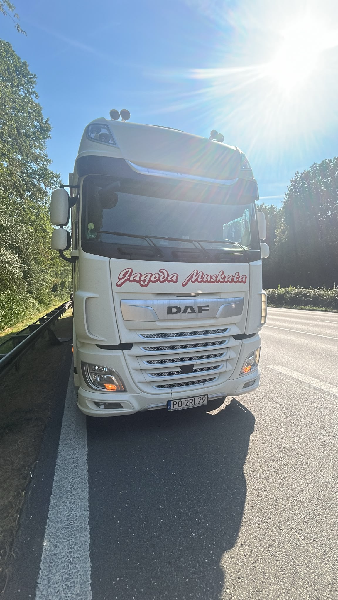 LKW Pannenhilfe vor Ort —