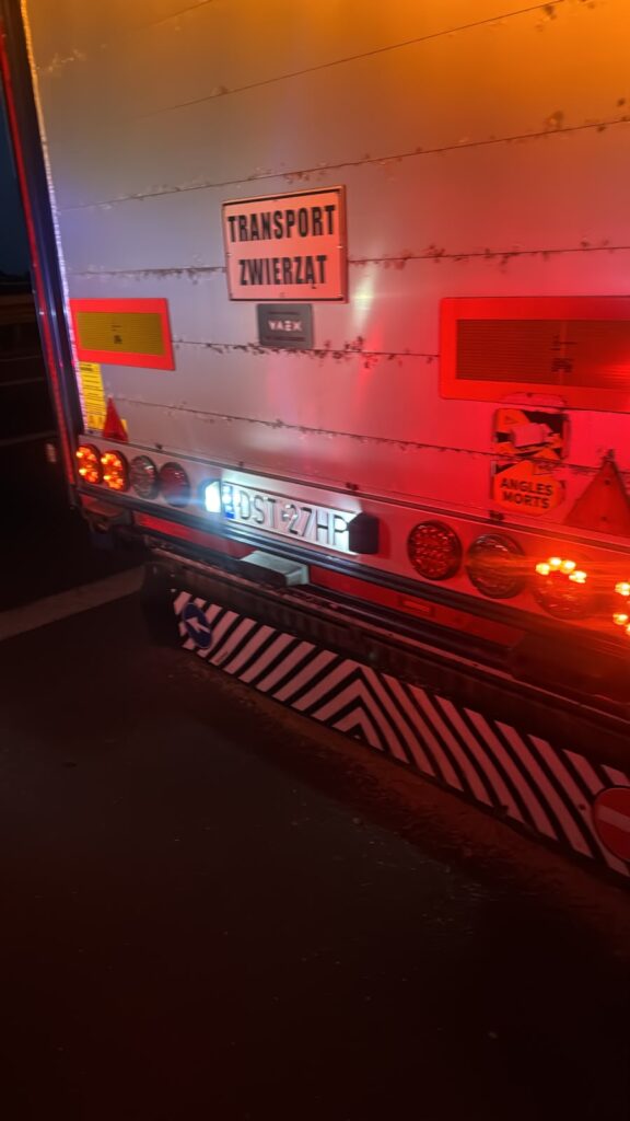 lkw-tiertransport-nachtpanne-01 – LKW Help 24