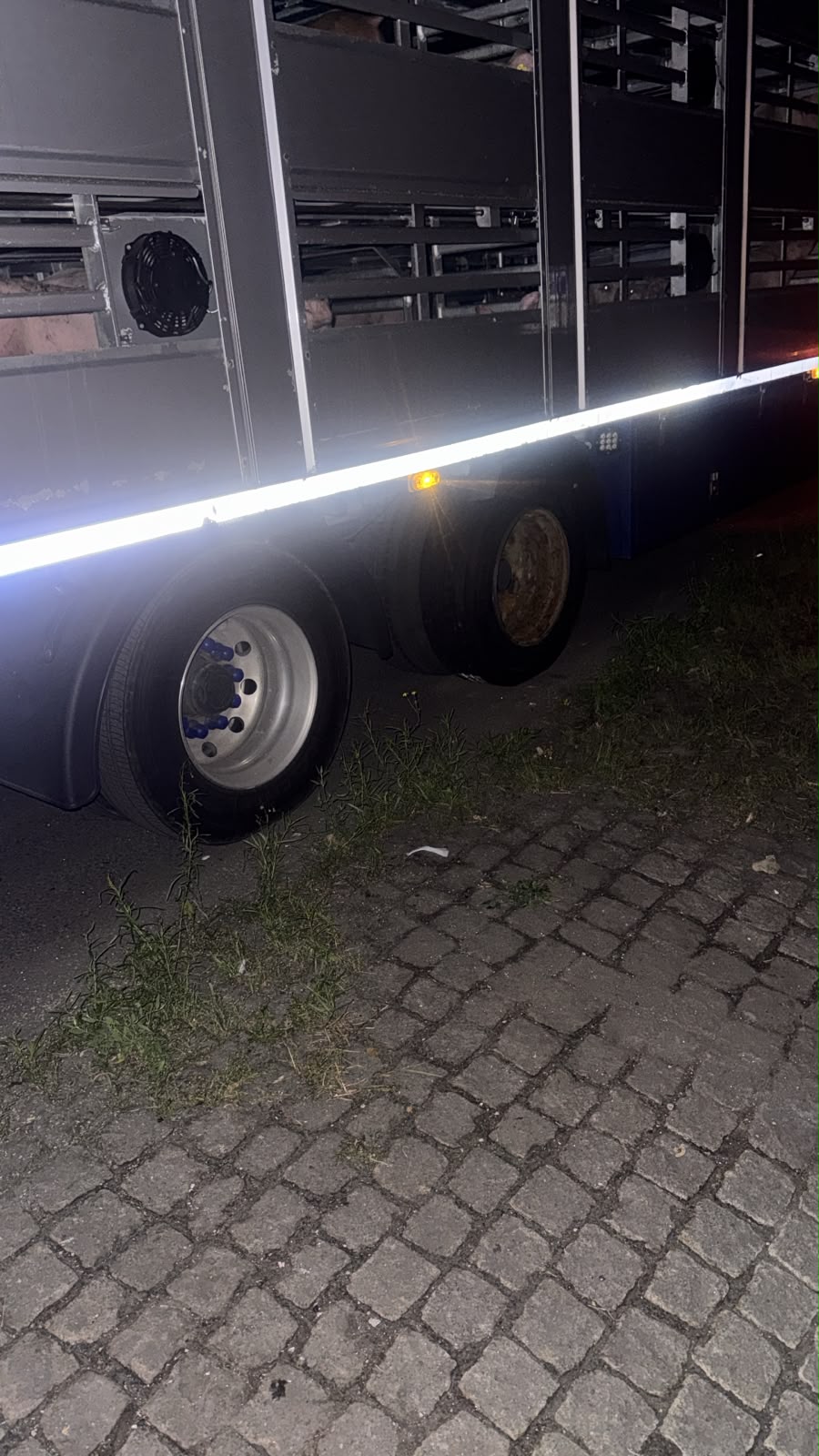 LKW Pannenhilfe vor Ort — Reifenplatzer beim Tiertransporter: A29 bei Oldenburg, Weiterfahrt nach 2 Std 13 Min